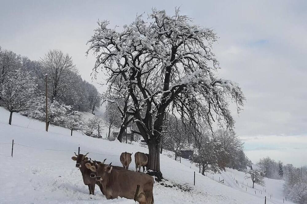 Photo of Others in Lienz