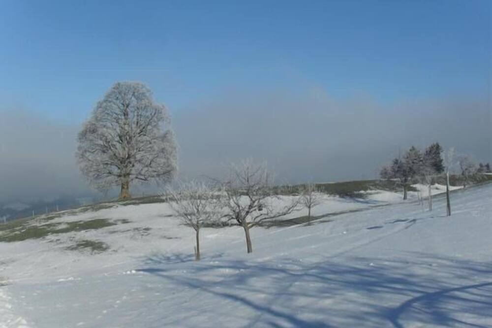 Photo of Others in Hemberg