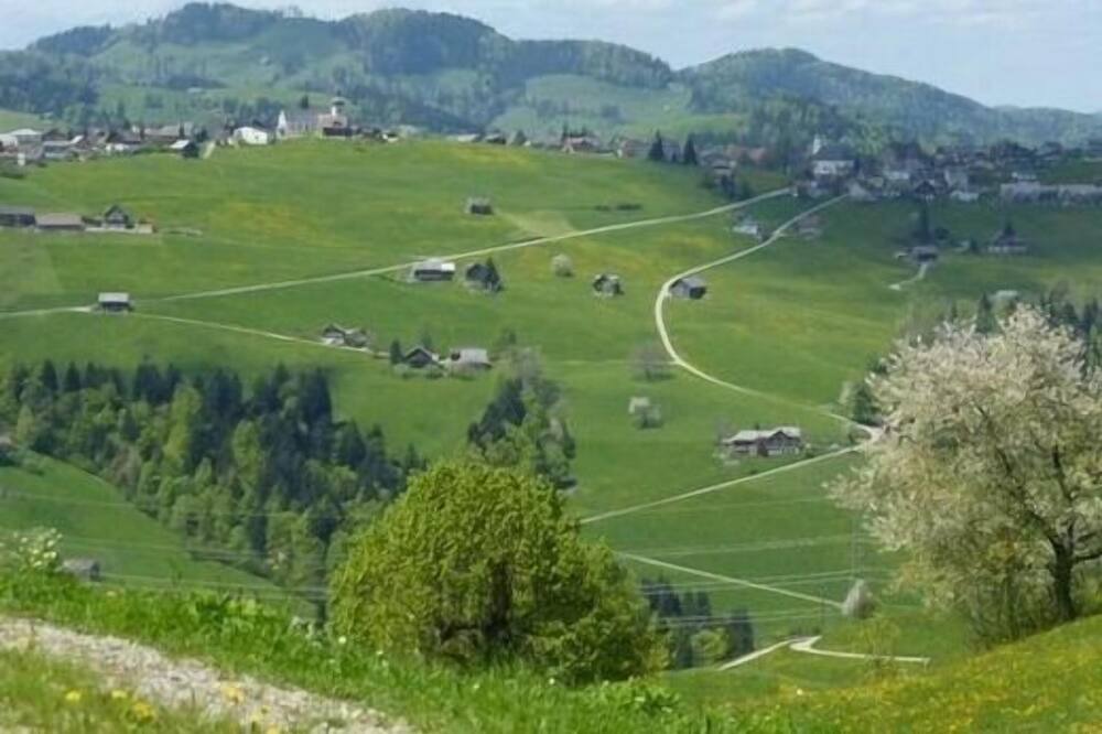 Photo of Others in Hemberg