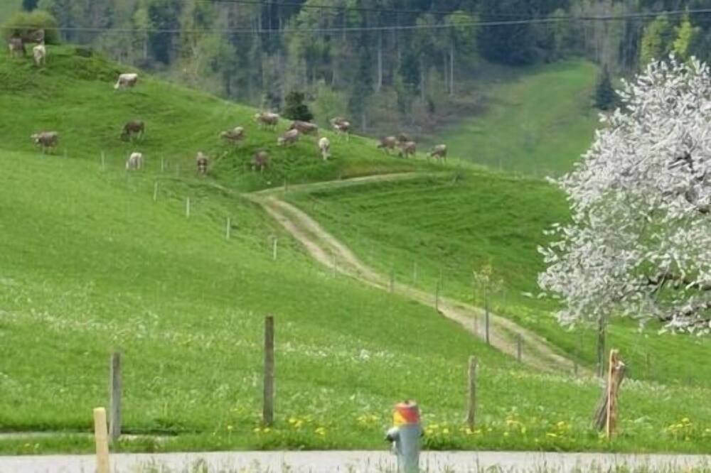 Photo of Others in Hemberg