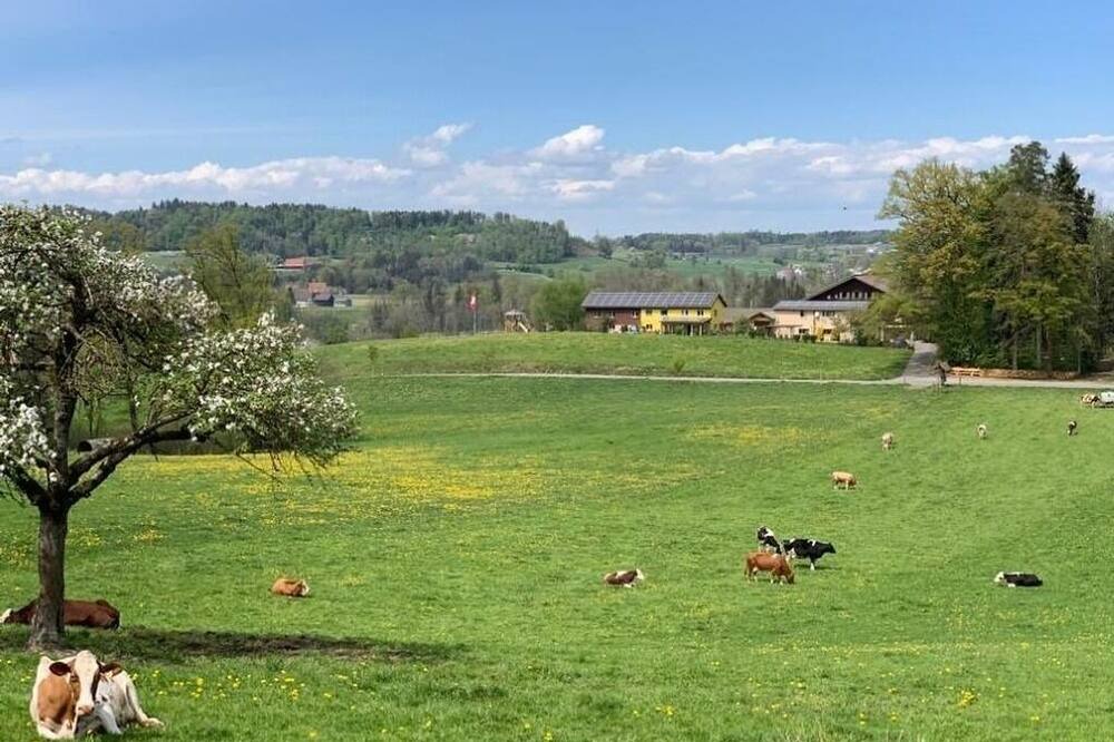 Photo of Others in Hauptwil-Gottshaus