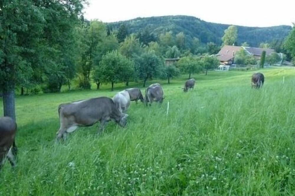 Photo of Others in Luetisburg