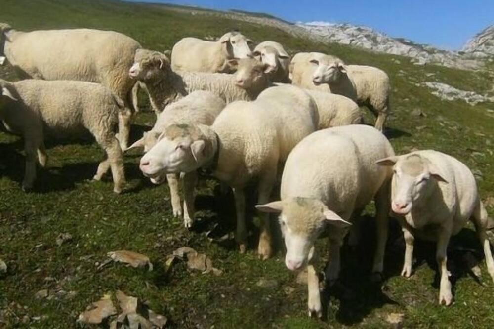 Photo of Others in Buerglen