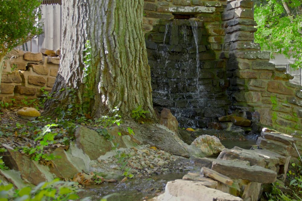 Photo of Outdoor in Noel