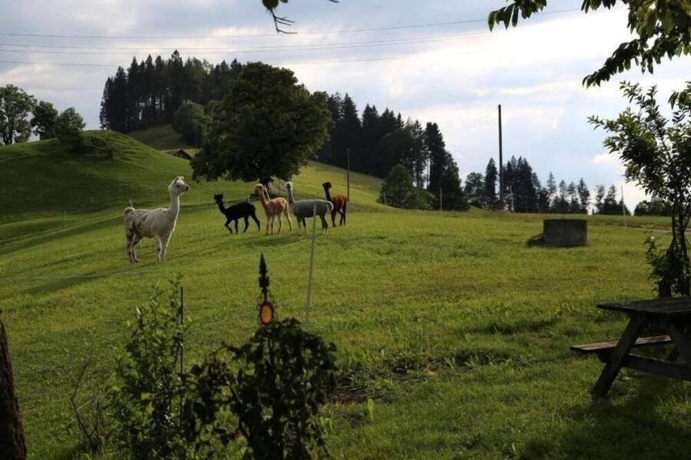 Photo of Others in Urnaesch