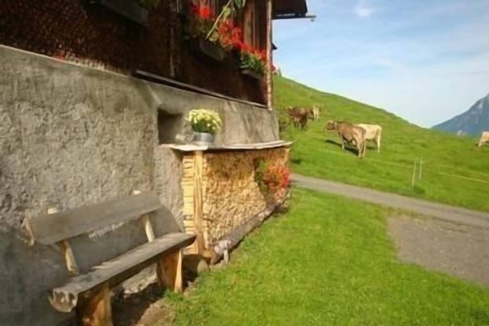 Photo of Outdoor in Gossliwil