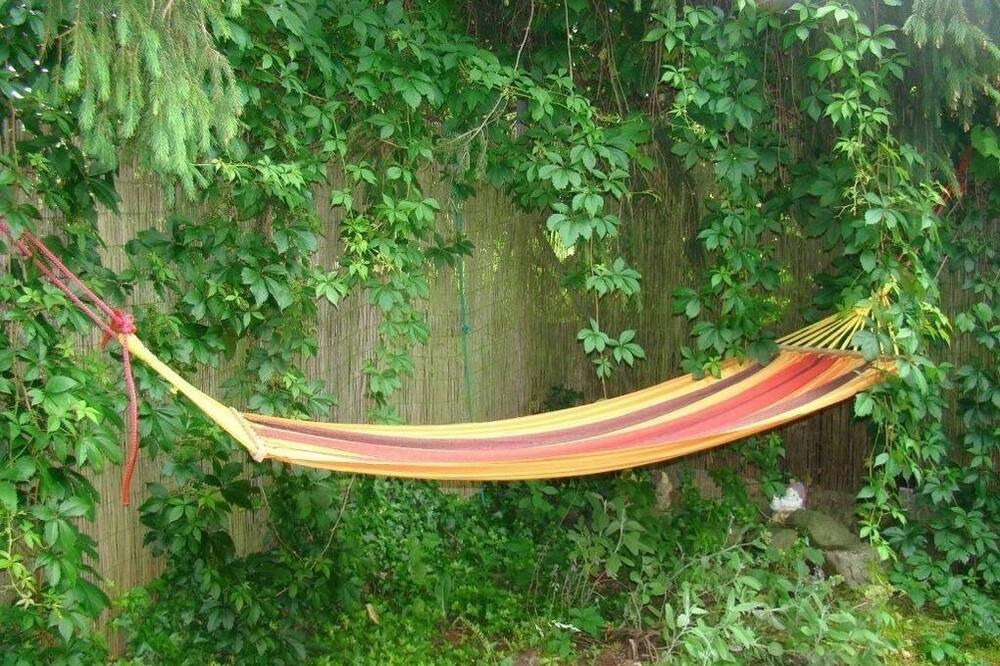 Photo of Outdoor in Steckborn