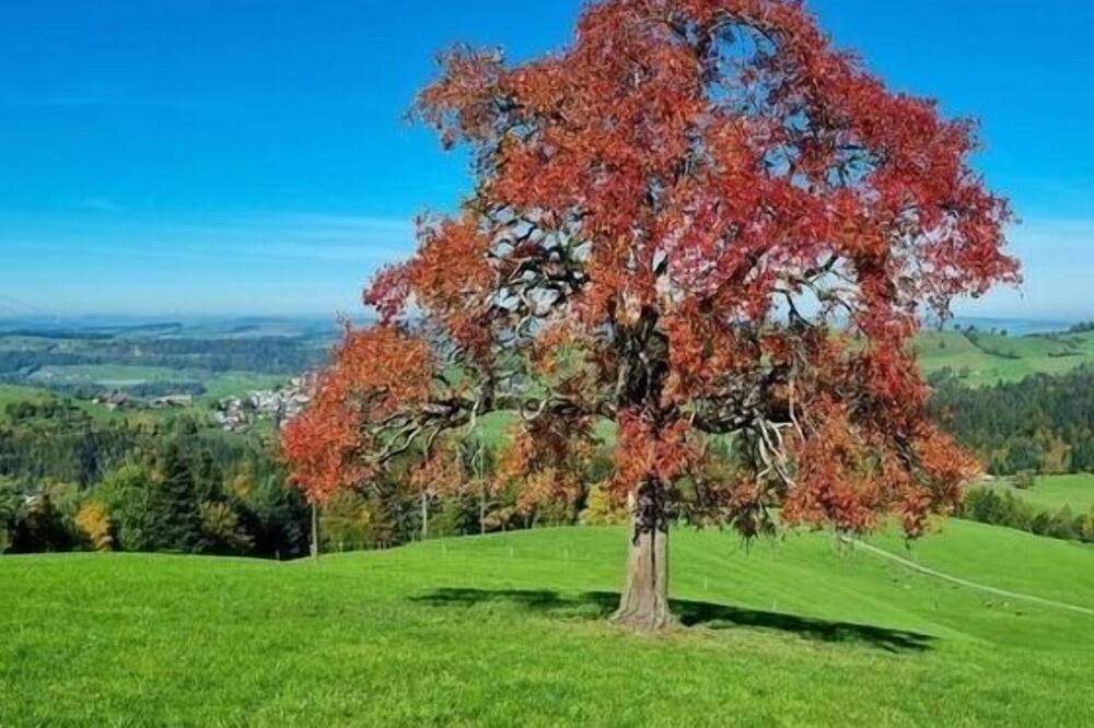 Photo of Outdoor in Schwarzenberg