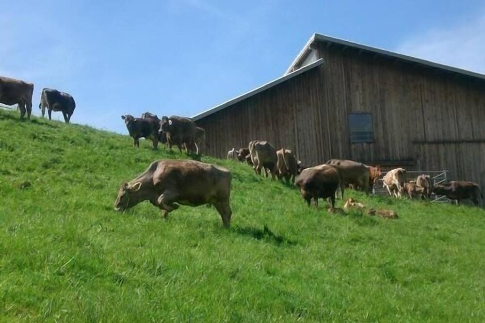 Photo of Others in Schwarzenberg