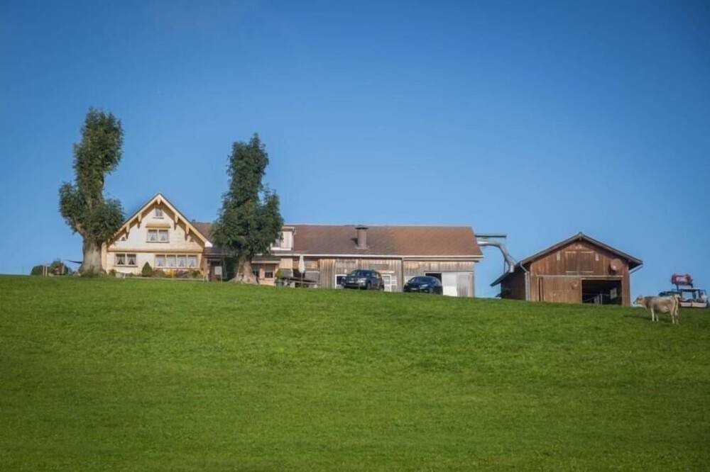 Photo of Outdoor in Schlatt-Haslen