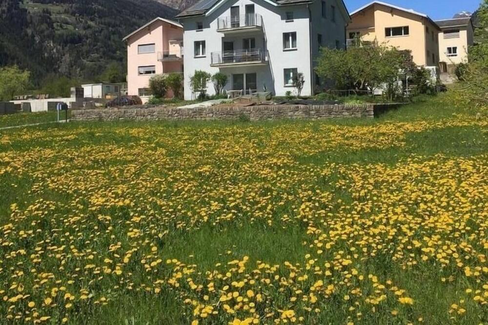Photo of Outdoor in Li Curt