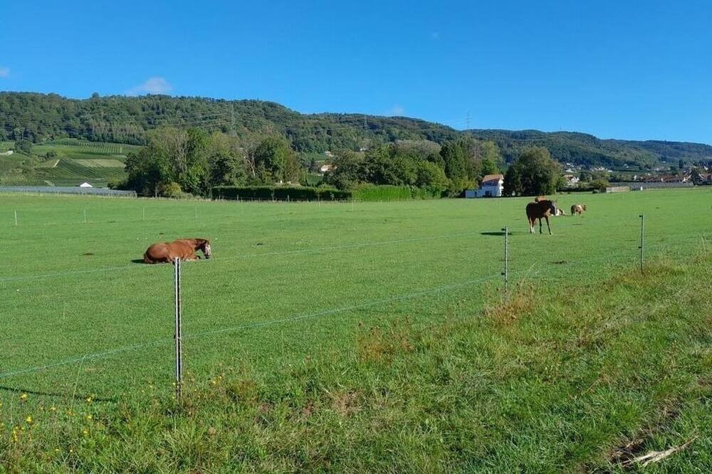 Photo of Others in Luins