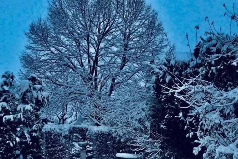 Photo of Outdoor in Gais