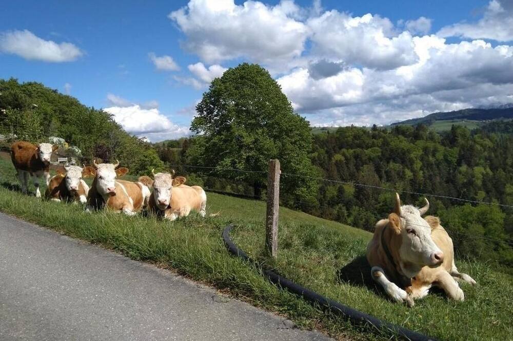 Photo of Others in Rueggisberg