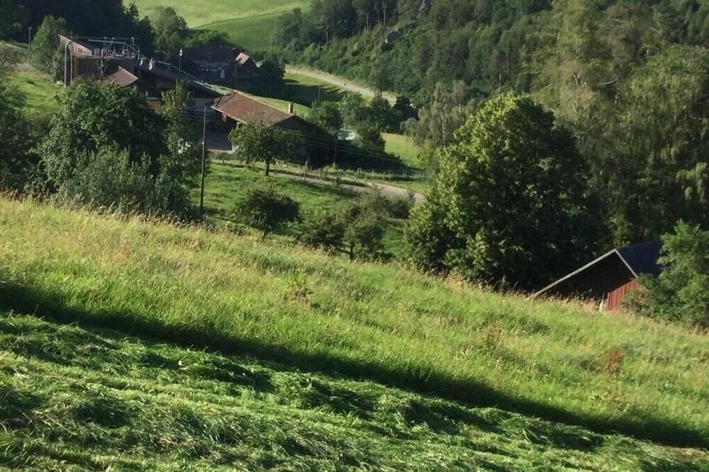 Photo of Others in Langenbruck