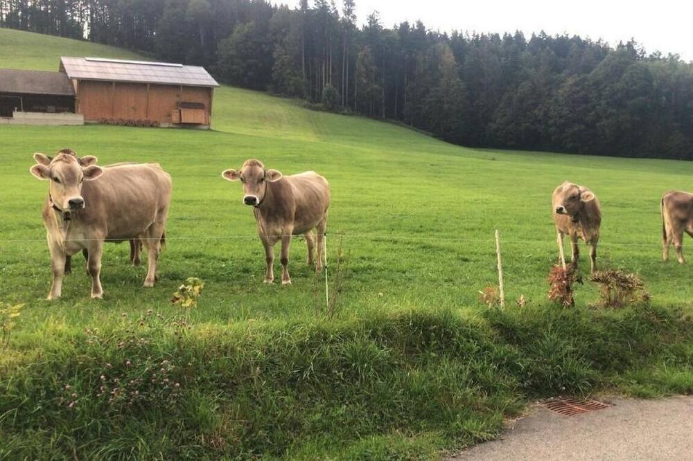 Photo of Outdoor in Neckertal