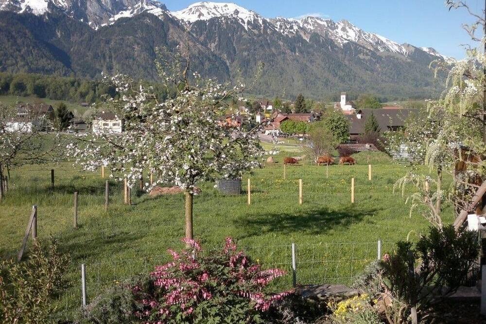 Photo of Outdoor in Amsoldingen