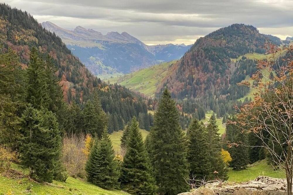 Photo of Others in Krummenau