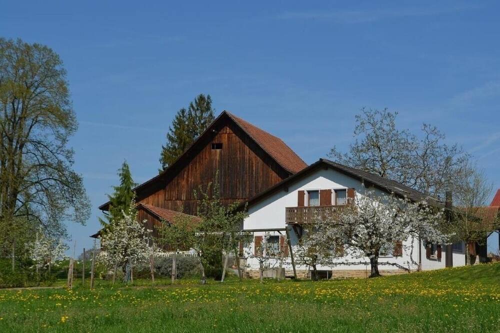 Photo of Outdoor in Haute-Ajoie