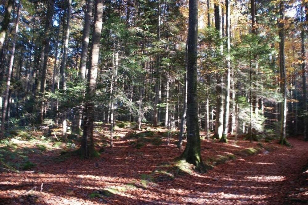 Photo of Outdoor in Seelisberg