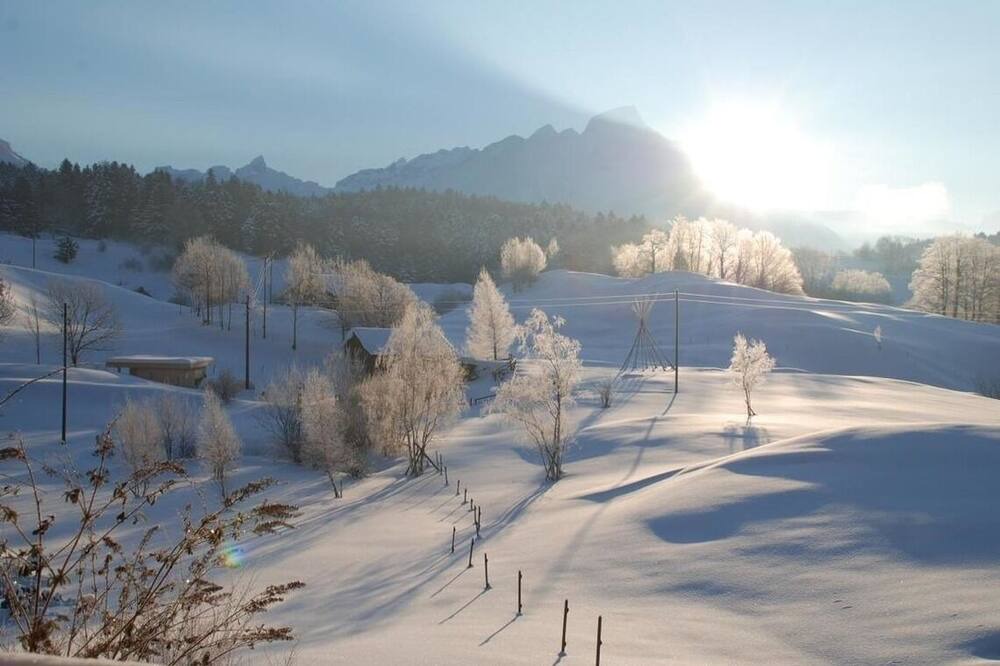 Photo of Others in Seelisberg