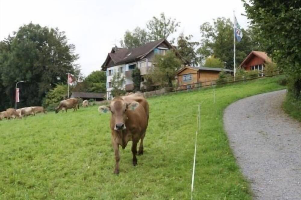 Photo of Outdoor in Egnach