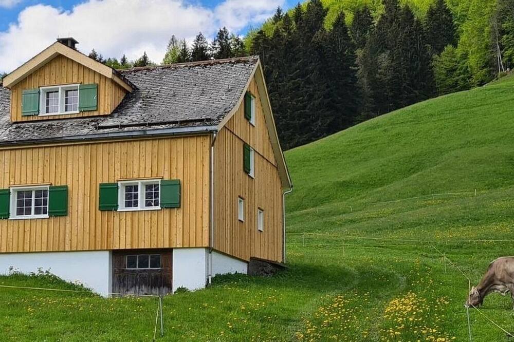 Photo of Outdoor in Nesslau-Krummenau
