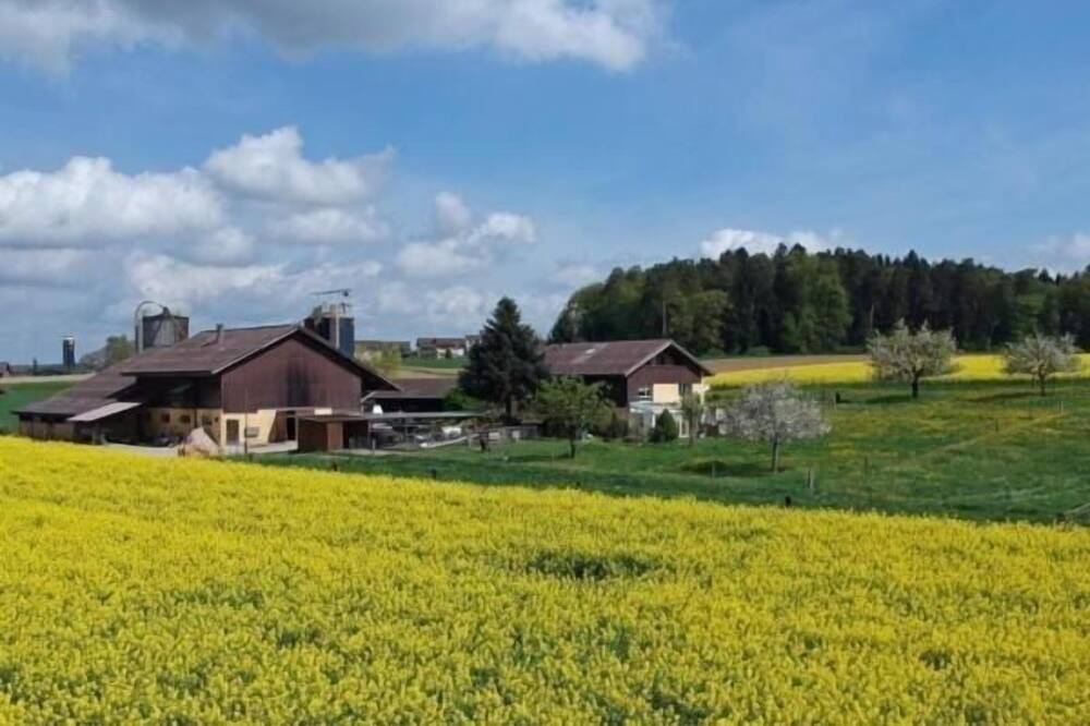 Photo of Outdoor in Dinhard