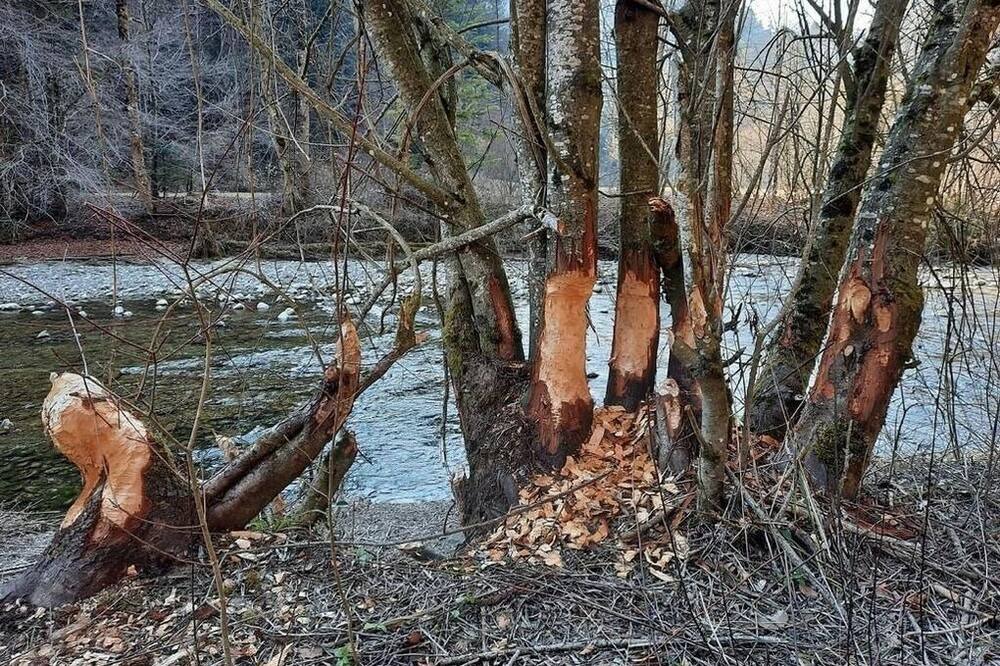 Photo of Others in Oberbalm