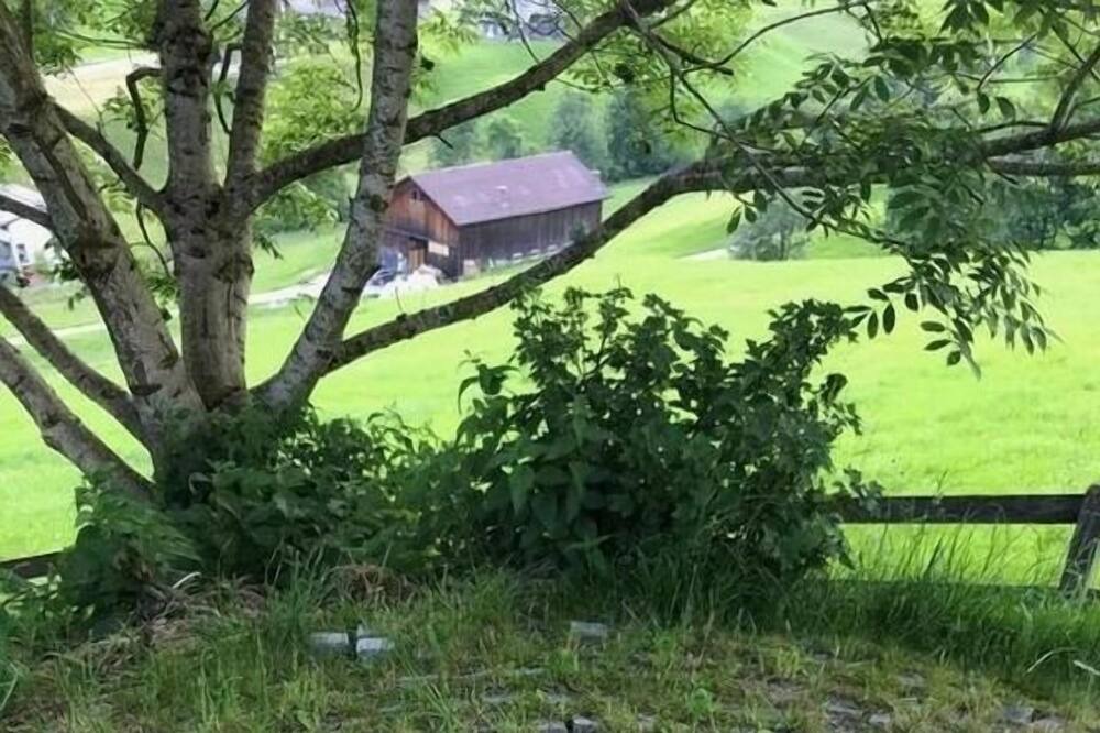 Photo of Others in Wildhaus