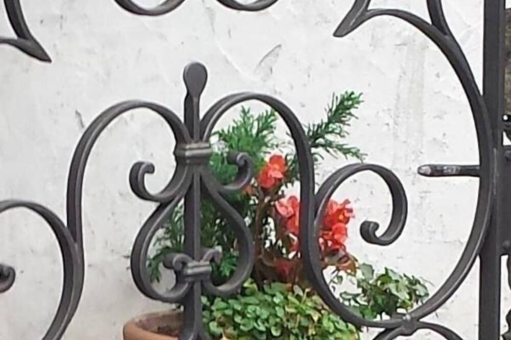 Photo of Outdoor in Aurigeno