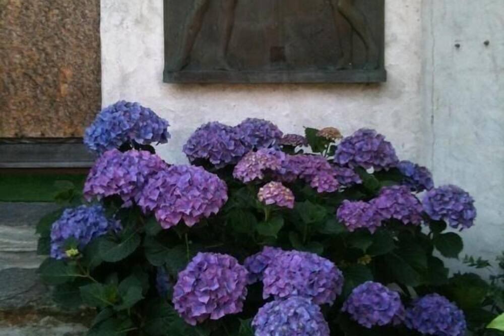 Photo of Outdoor in Aurigeno