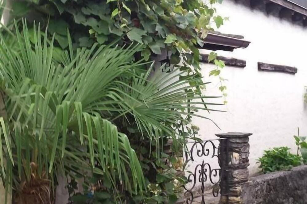 Photo of Outdoor in Aurigeno