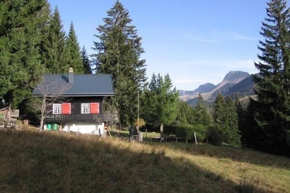 Photo of Outdoor in Les Paccots