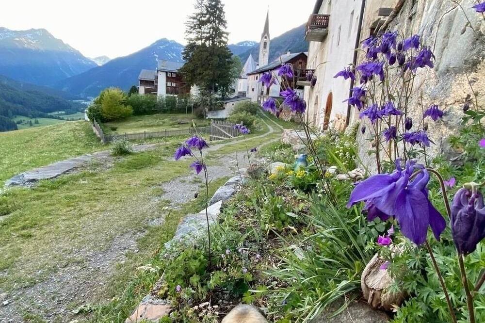 Photo of Outdoor in Guarda