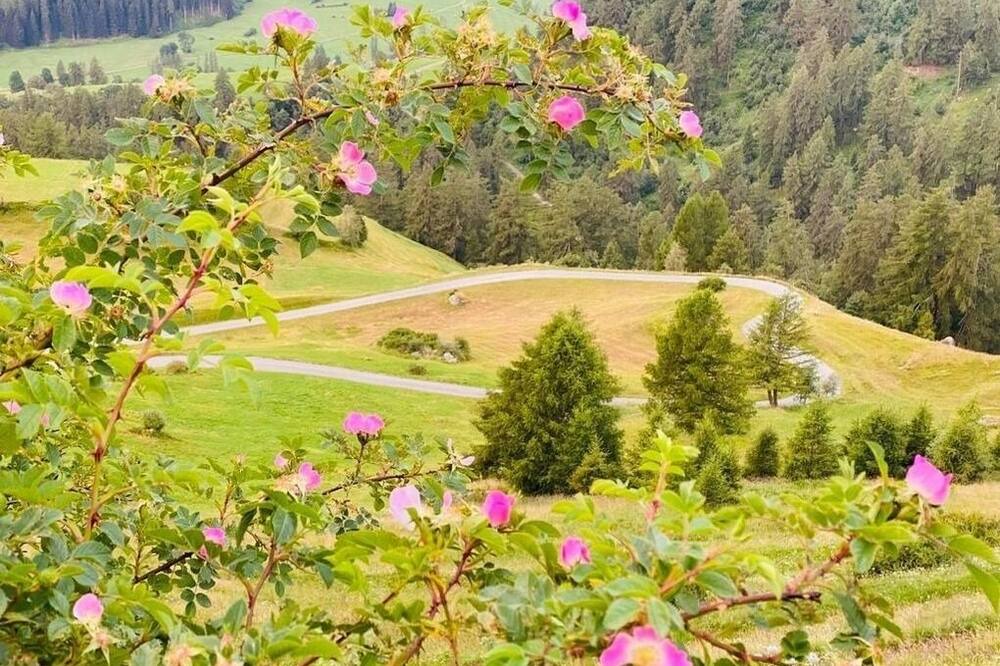 Photo of Outdoor in Guarda