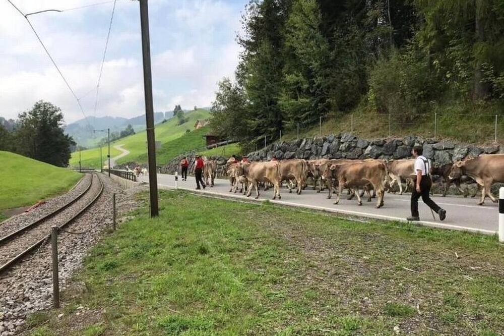 Photo of Others in Hundwil