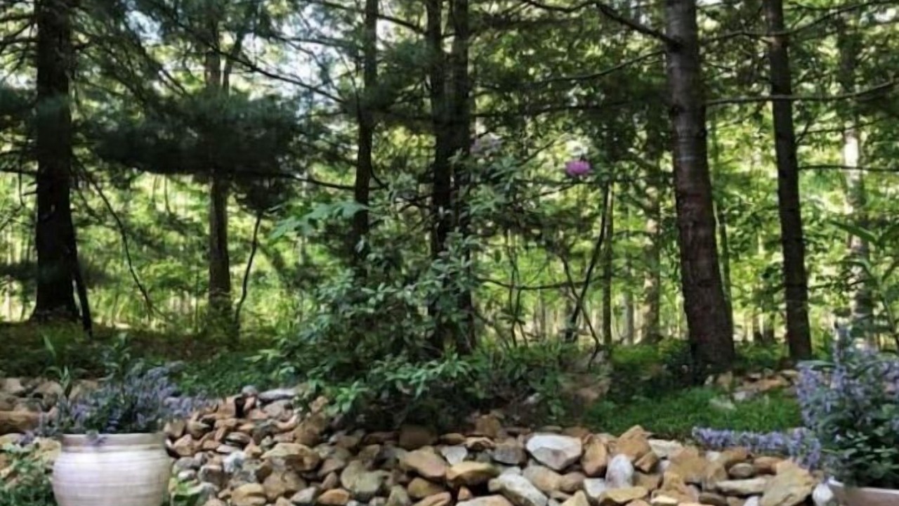 Photo of Outdoor in Fayetteville