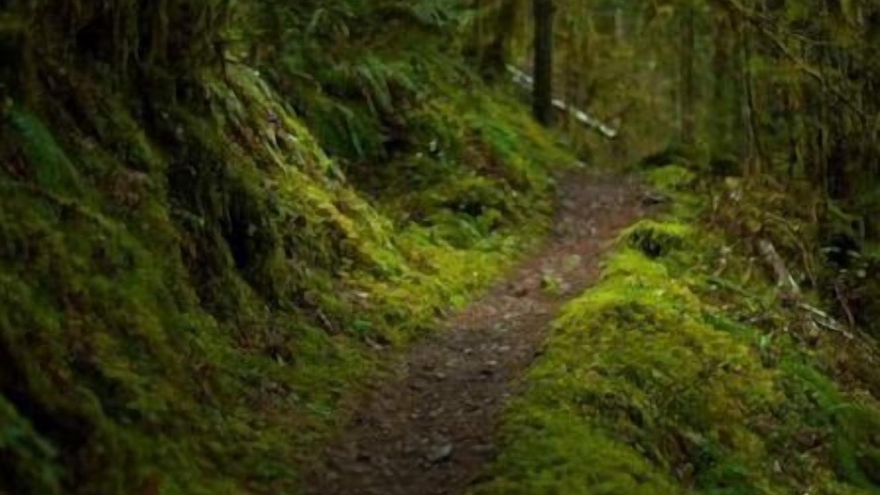 Photo of Others in Cottage Grove