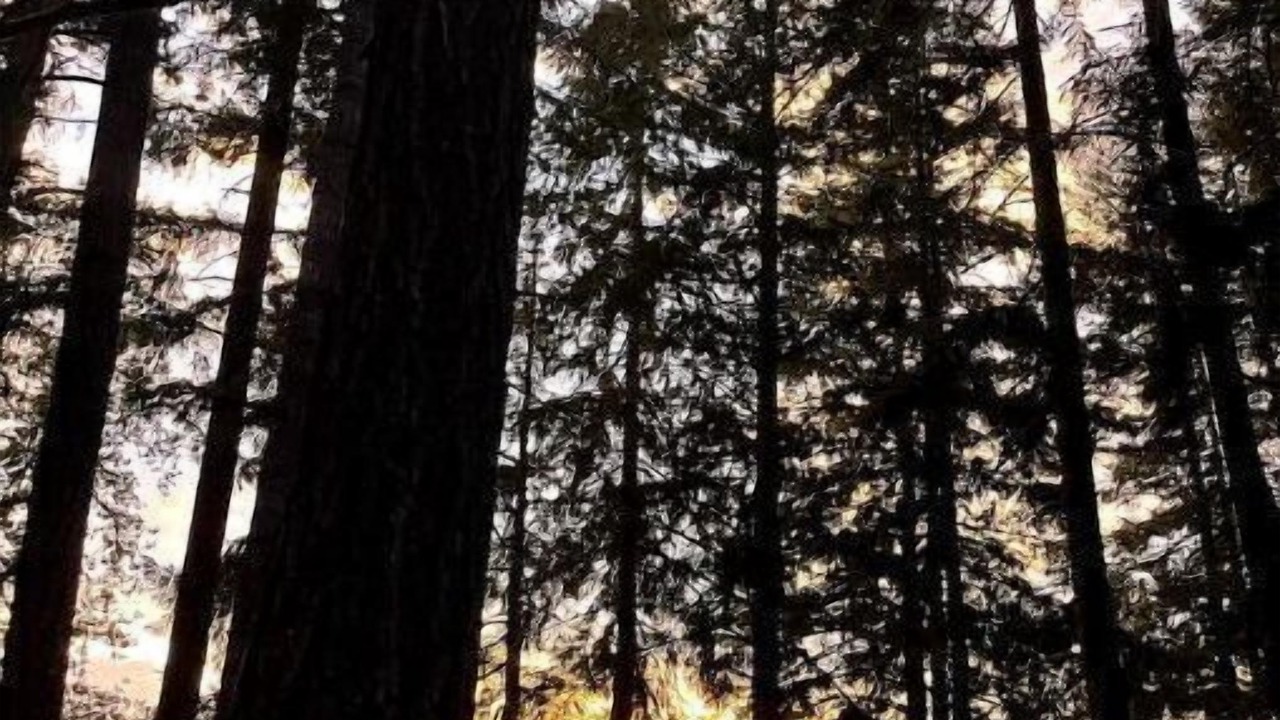 Photo of Others in Cottage Grove