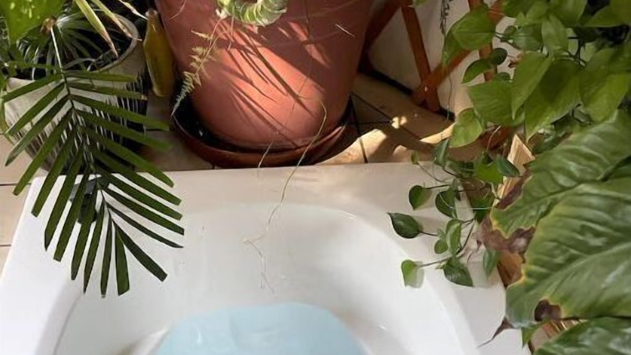 Photo of Outdoor in Cottage Grove