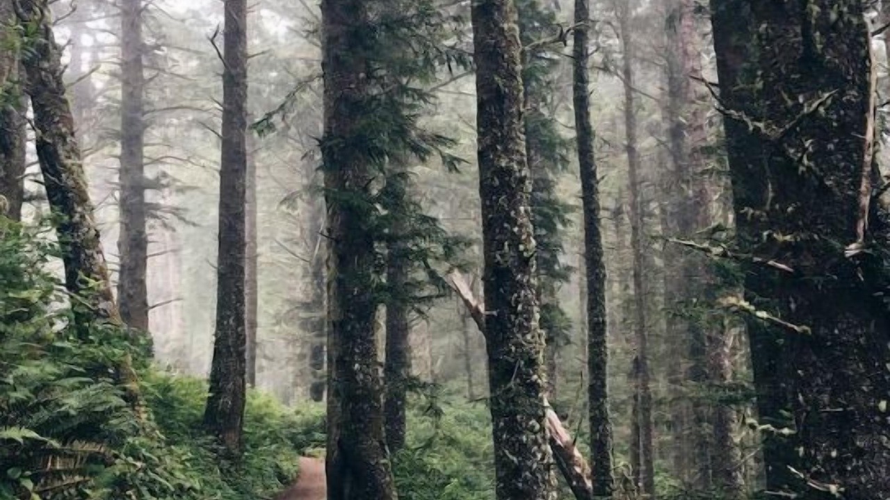 Photo of Others in Cottage Grove