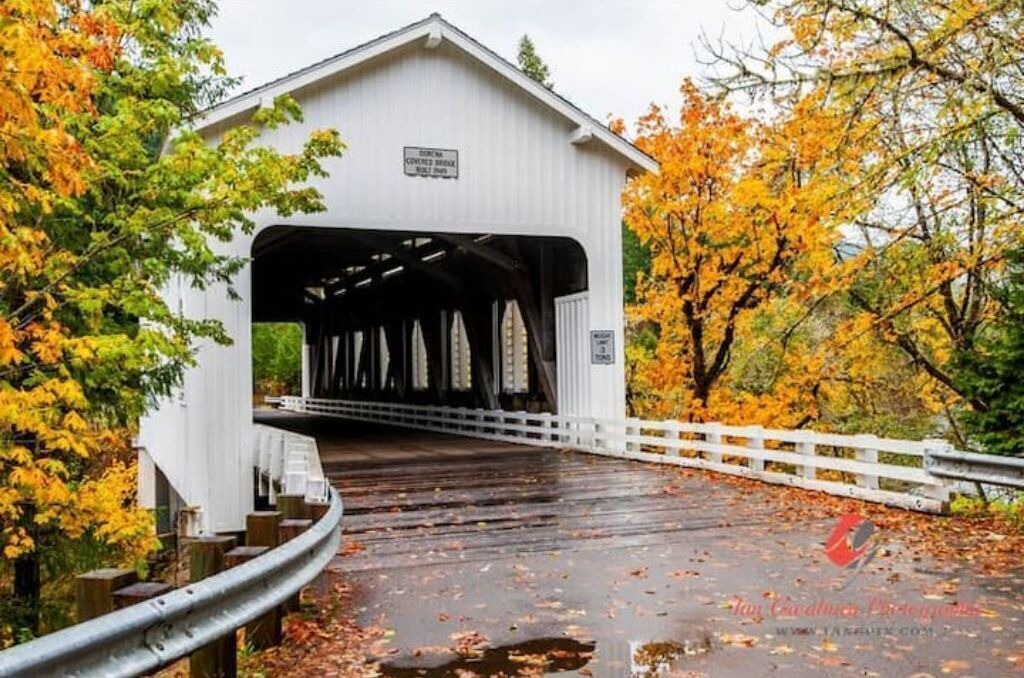 Photo of Others in Cottage Grove