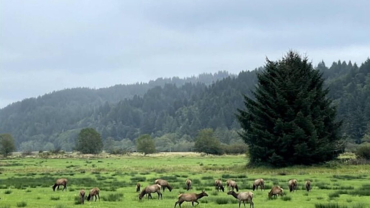 Photo of Outdoor in Cottage Grove