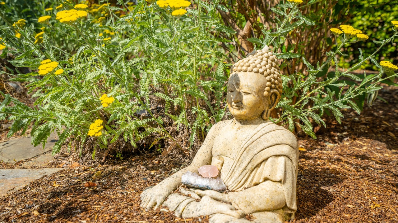 Photo of Outdoor in Fetters Hot Springs-Agua Caliente
