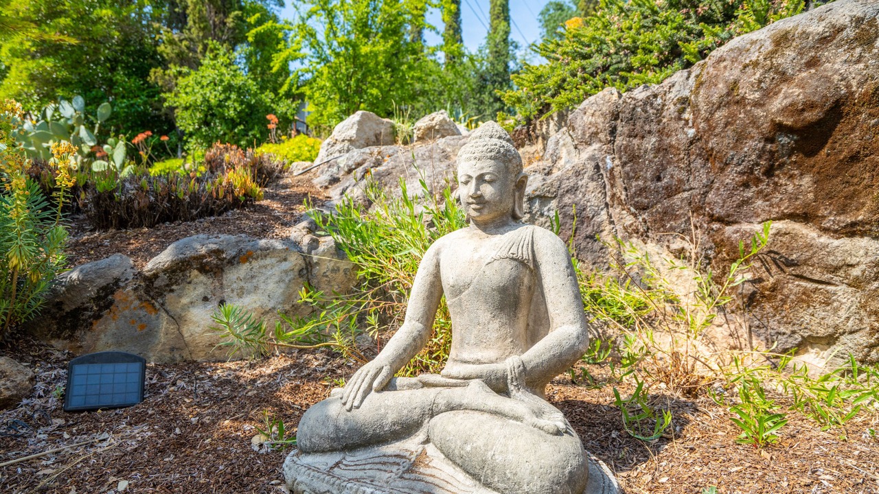 Photo of Outdoor in Fetters Hot Springs-Agua Caliente