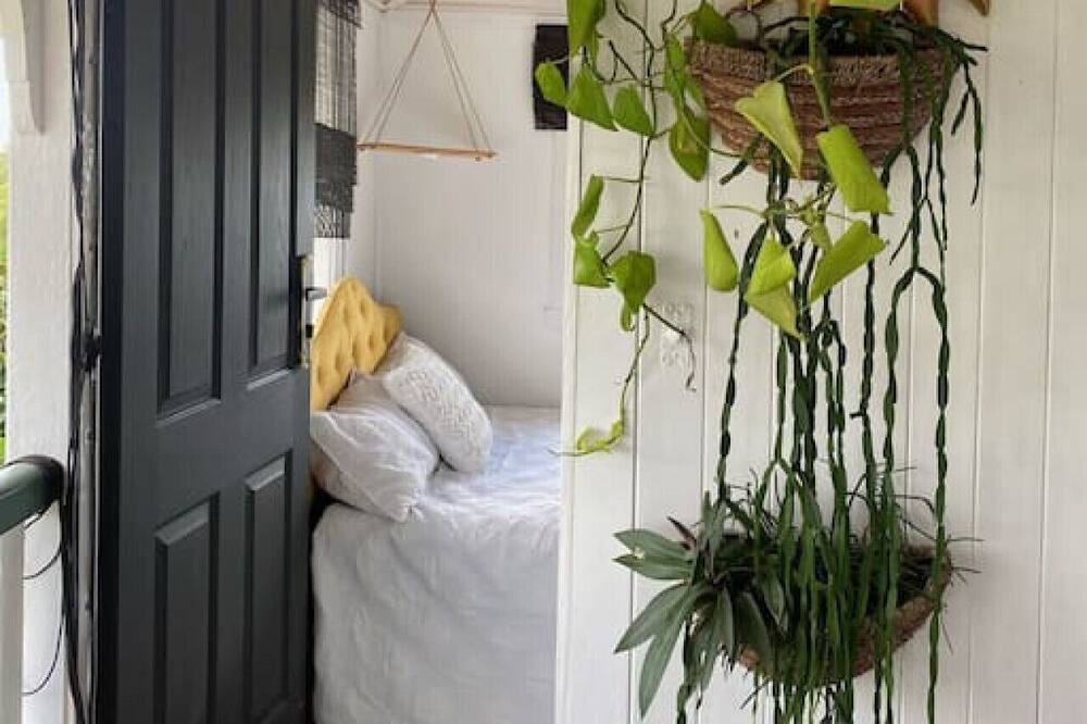 Photo of Others in River Heads