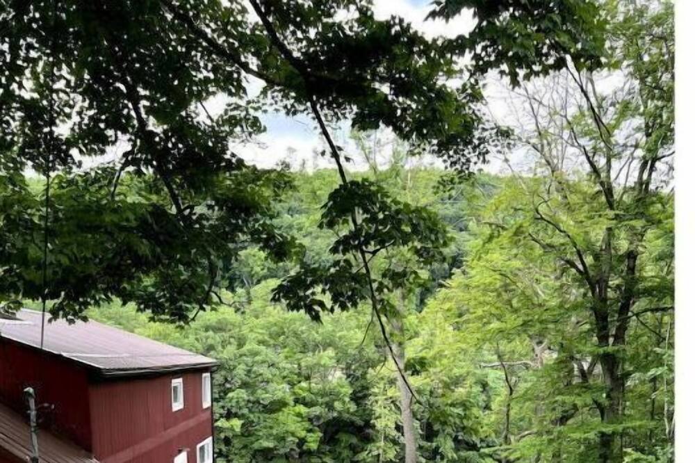 Photo of Outdoor in Ligonier