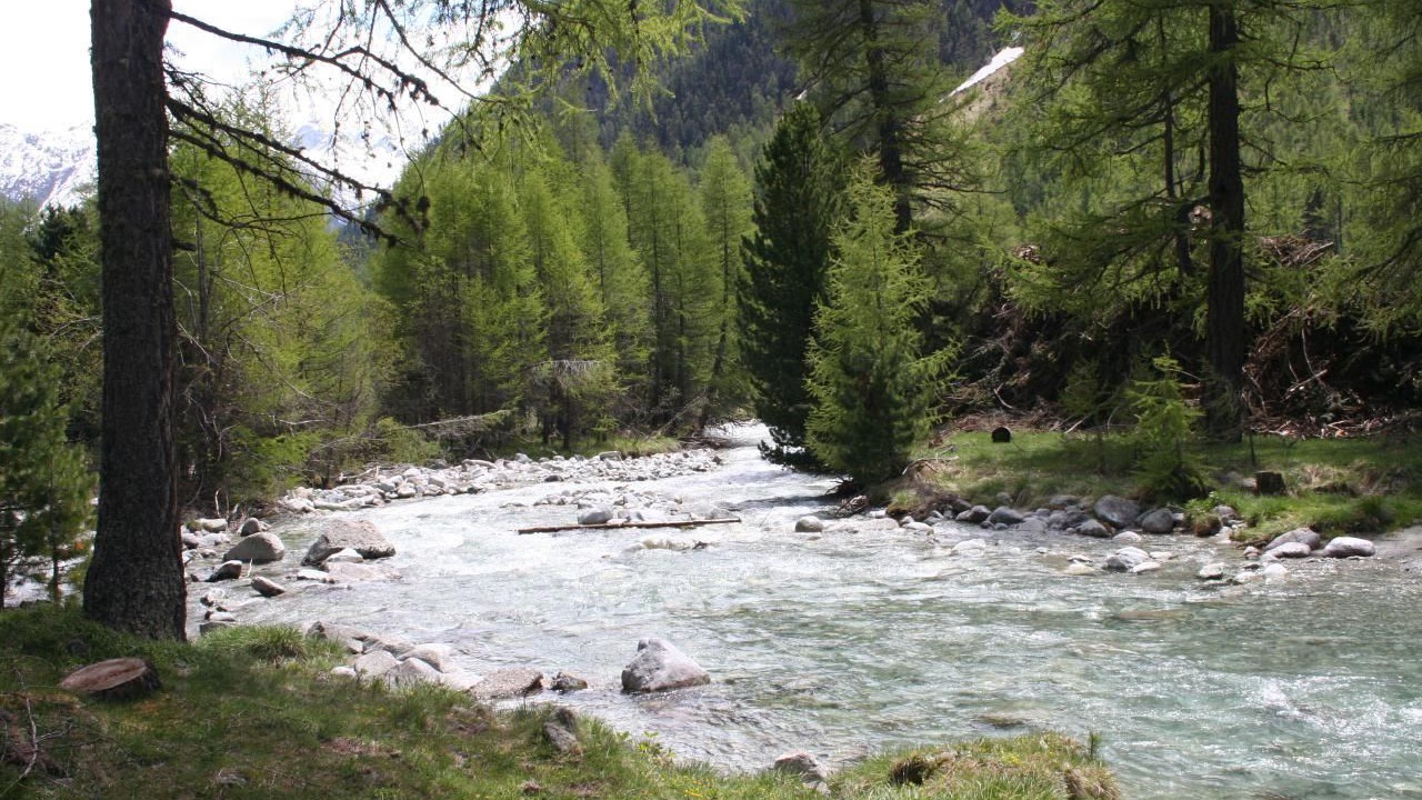 Photo of Others in Bever