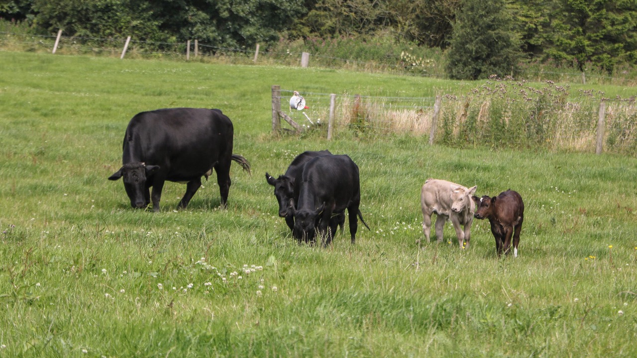 Photo of Others in Ashover